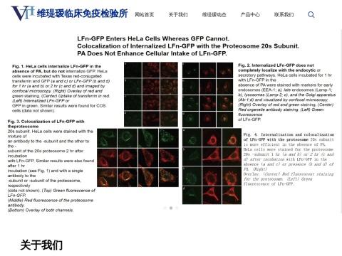 海口维瑅瑷生物研究院